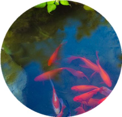 微信图片_20180430192241.jpg 微信图片_20180430192241.jpg