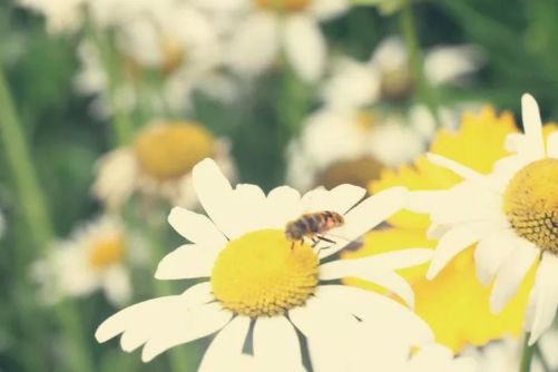 封面.jpg 封面.jpg