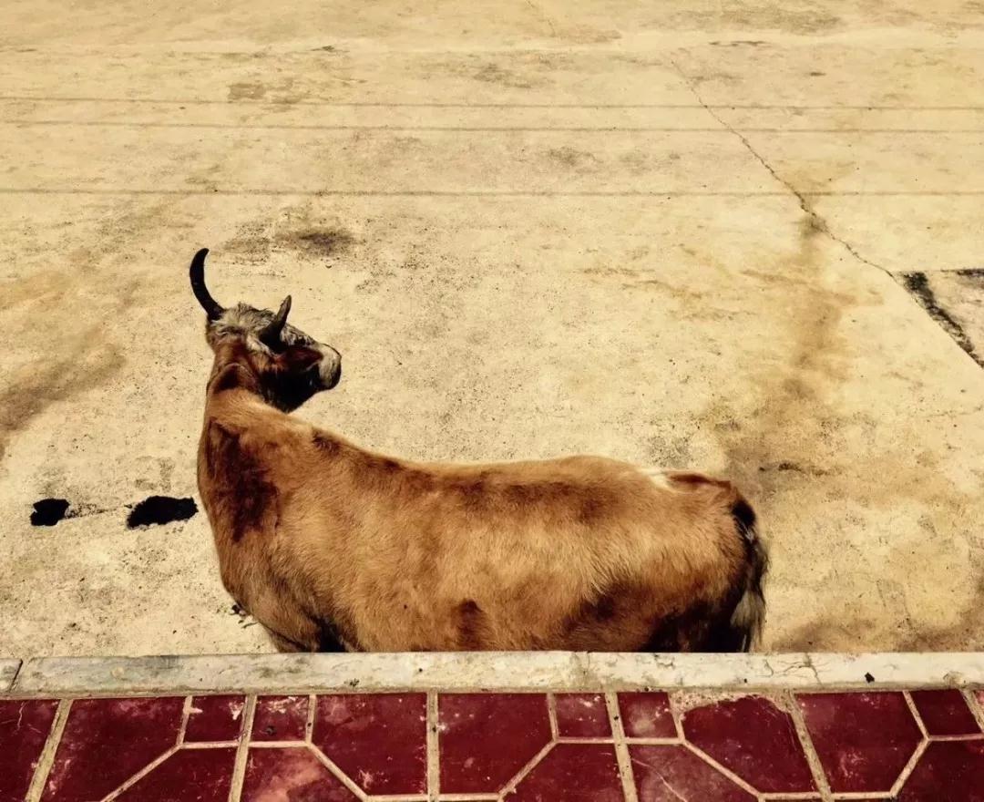 微信图片_20181020230110.jpg 微信图片_20181020230110.jpg