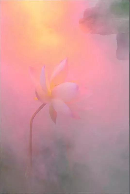 微信图片_20181129215216.jpg 微信图片_20181129215216.jpg