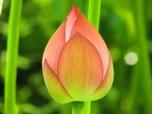 微信图片_20190104223431.jpg 微信图片_20190104223431.jpg