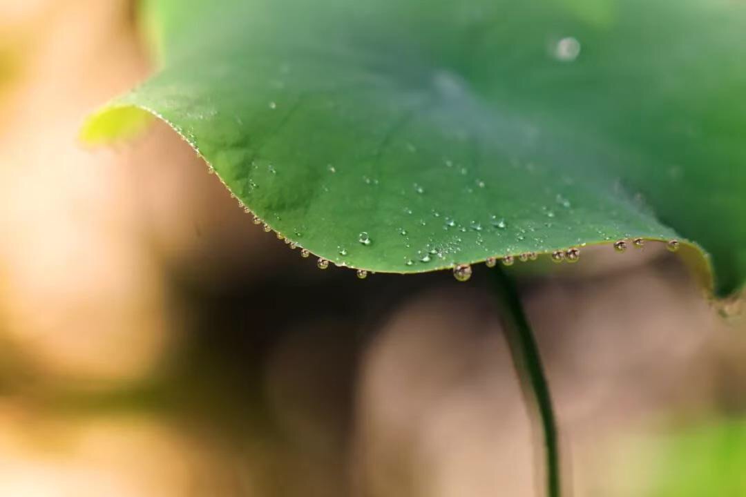 微信图片_20190912212027.jpg 微信图片_20190912212027.jpg