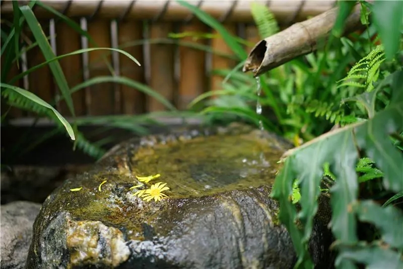 640.webp (64).jpg 640.webp (64).jpg