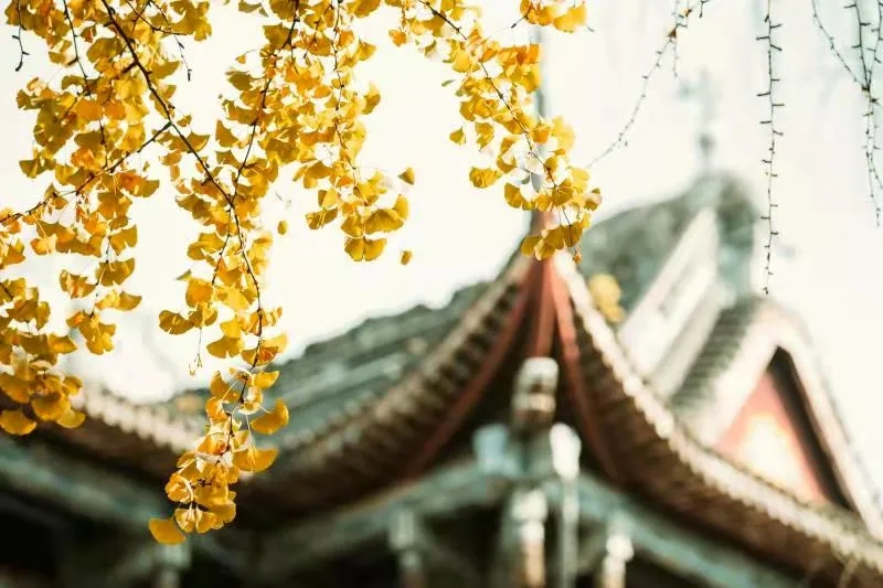 640.webp (91).jpg 640.webp (91).jpg