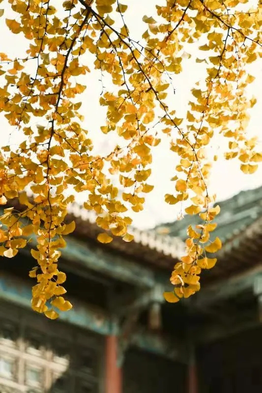 640.webp (92).jpg 640.webp (92).jpg